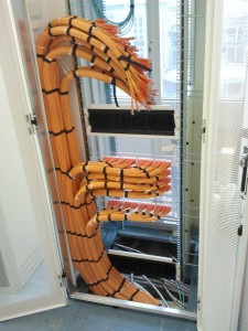 Harness