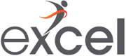 Excel Logo